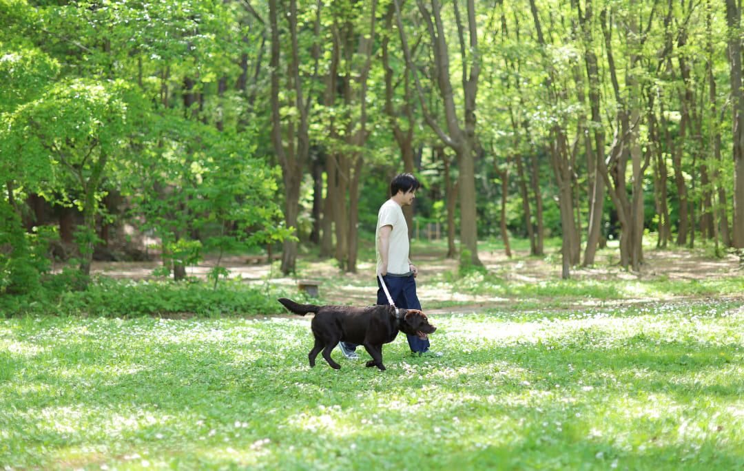 犬の散歩イメージ